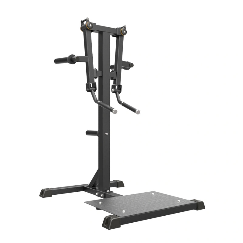 GymGear Pro Series Plate Loaded Lateral Raise