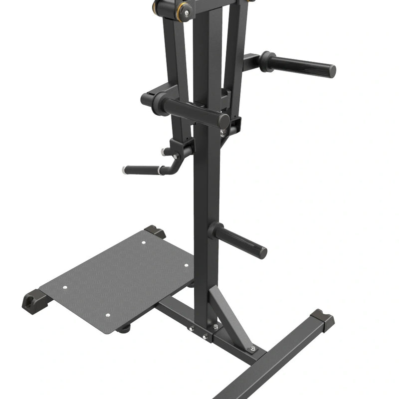 GymGear Pro Series Plate Loaded Lateral Raise
