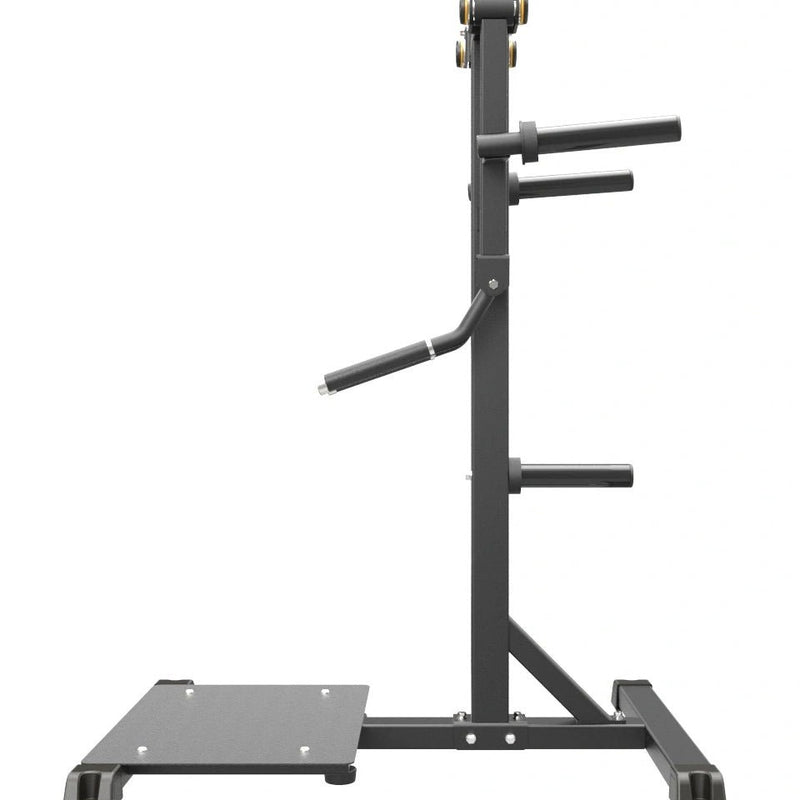 GymGear Pro Series Plate Loaded Lateral Raise