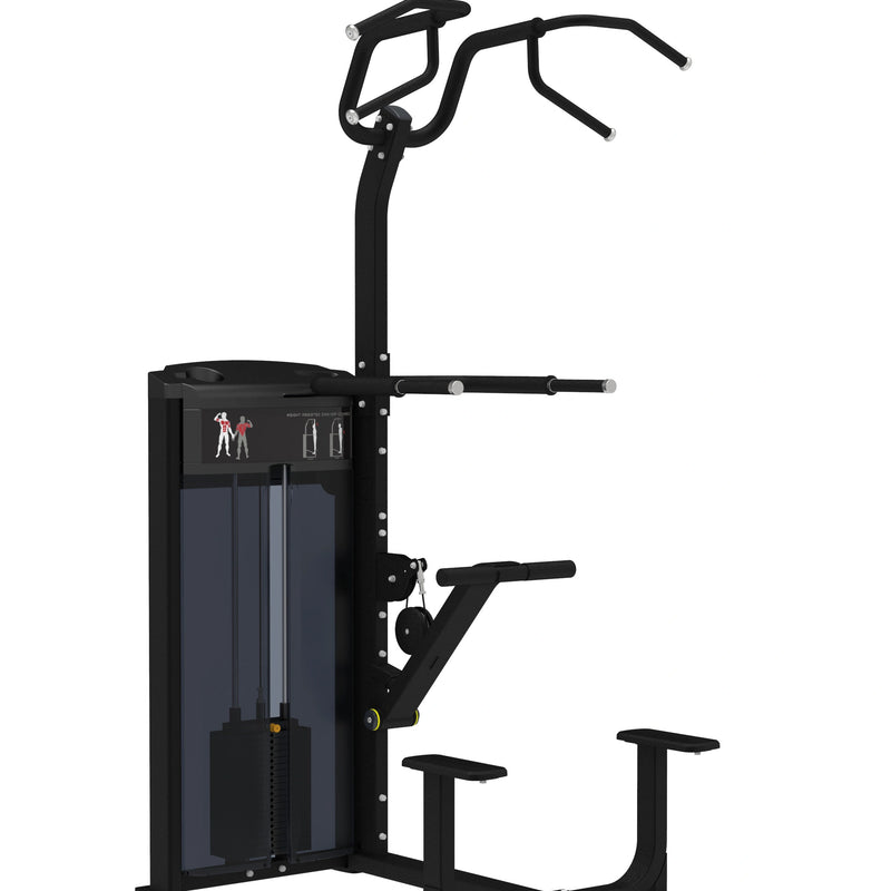 GymGear Pro Series Assisted Chin and Dip