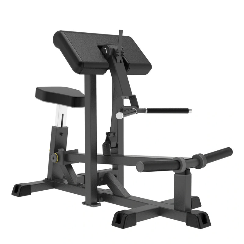 GymGear Pro Series Plate Loaded Bicep Curl