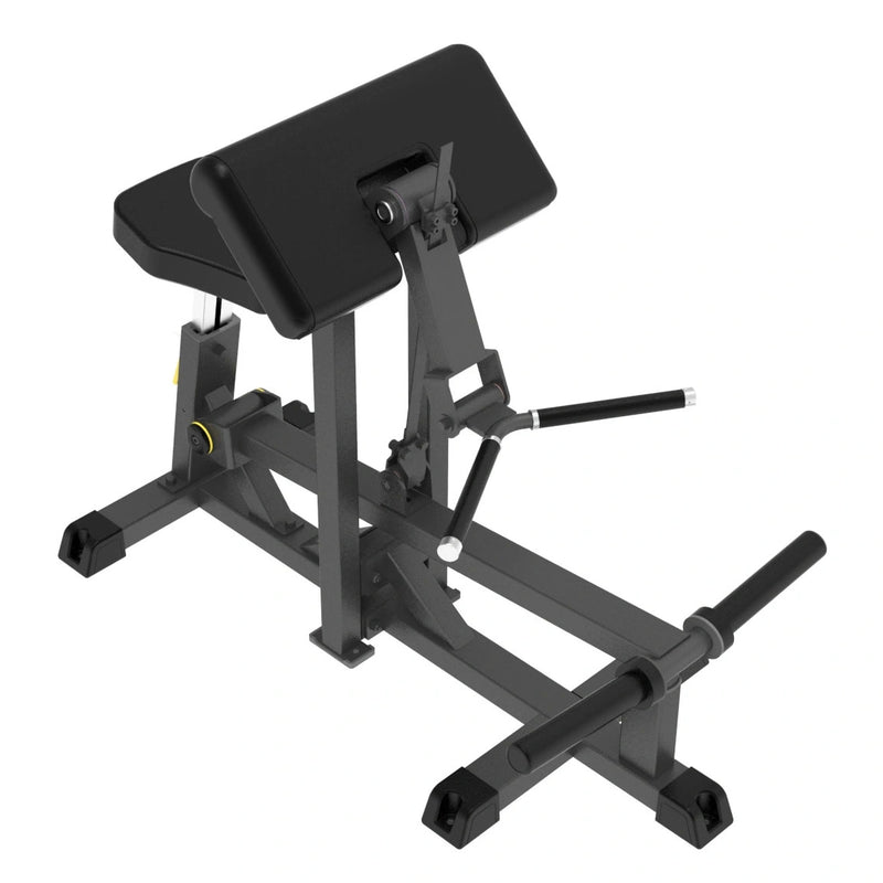 GymGear Pro Series Plate Loaded Bicep Curl