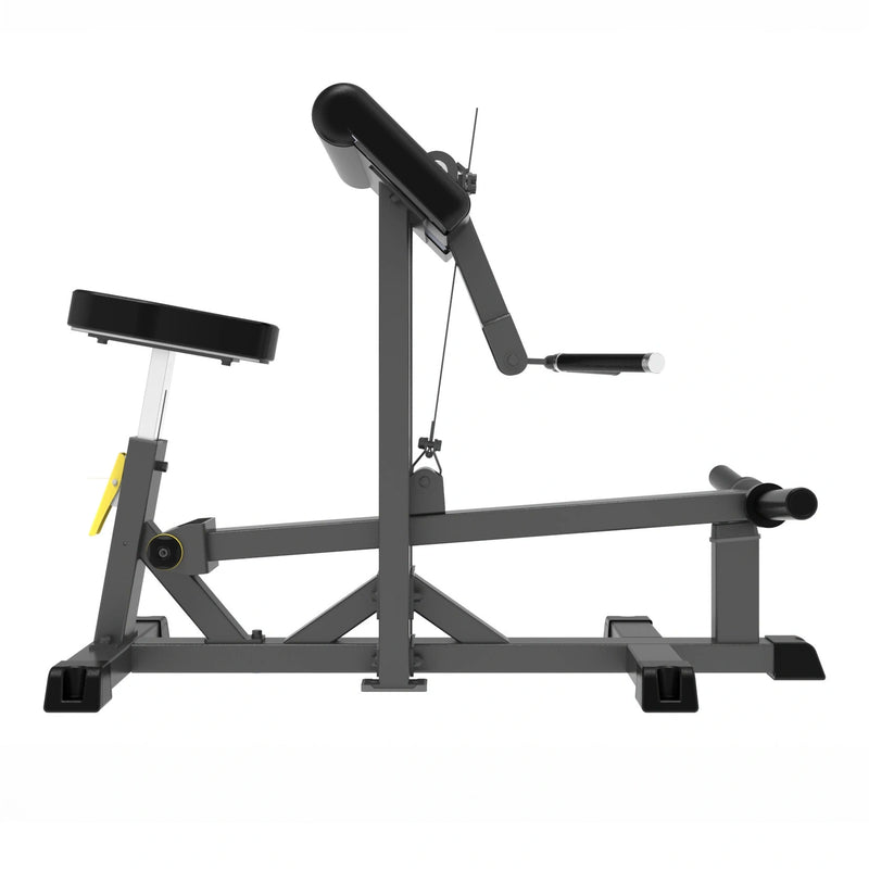 GymGear Pro Series Plate Loaded Bicep Curl